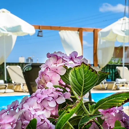 Appartement Irinoula Dreams *